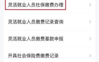 个人怎么缴纳保险 - 个人如何缴纳社保呢
