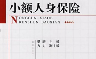 农村小额人身保险，农村小额人身保险的意义