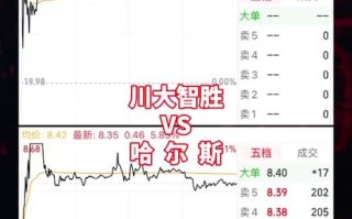哈尔斯股票，哈尔斯股票发行价是多少