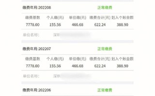 社保查询深圳（深圳社保查询入口app）