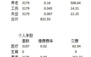 养老金个人缴纳比例，养老金个人缴纳比例是多少北京