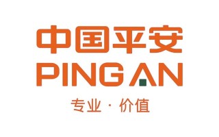 中国平安保险公司简介，中国平安保险公司简介世界500