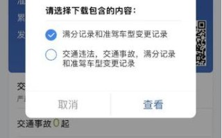 驾驶员违章记录查询 - 驾驶人违章信息查询