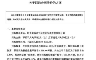 三安光电股票（三安光电股票资金流向）