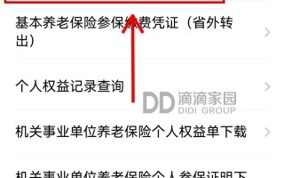 深圳社保查询明细，深圳社保费查询