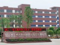 棒杰股份（棒杰股份股票）