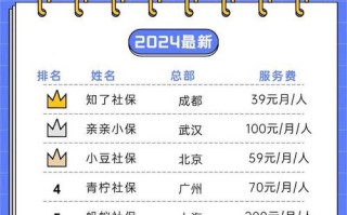 社保代缴比较好的公司（社保代缴比较好的公司有哪些）