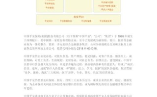 平安保险公司简介（平安保险公司简介资料）