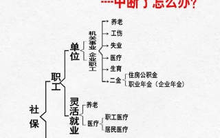 社保是什么意思，职工社保是什么意思