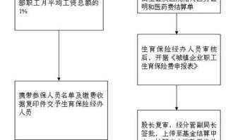 生育保险怎么报销（生育保险怎么报销产检费用）