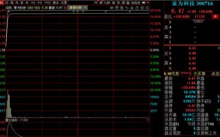 华电能源股票，华电能源股票还会上涨吗