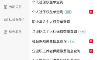衡阳养老保险查询，衡阳市养老保险个人查询