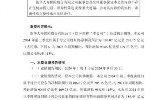 新华保险上市（新华保险）