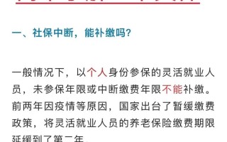 养老保险续交（养老保险续交申请）