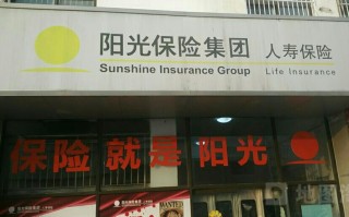 阳光保险集团，阳光保险集团股东