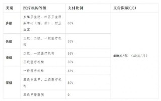 农村医疗保险，农村医疗保险哪里交