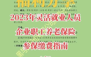 深圳经济特区社会养老保险条例 - 深圳经济特区社会养老保险条例第46条