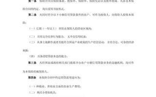 小额信贷保险（小额贷款保险）