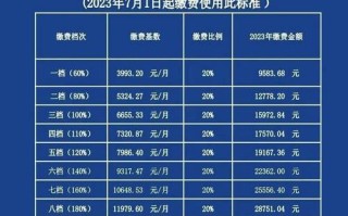 基本养老保险缴费基数，基本养老保险缴费基数填多少