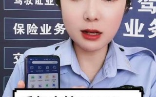平安在线违章查询，平安在线违章查询网