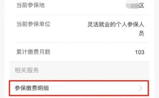 个人养老金缴费查询（个人养老金缴费查询不到）
