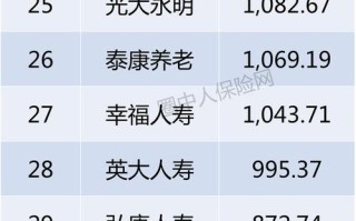 国内寿险公司排名 - 国内寿险公司排名前十的介绍