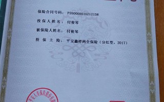 中国平安保险股份 - 中国平安财产保险股份有限公司