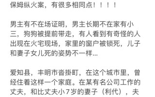保姆纵火案原因 - 保姆纵火案原因分析