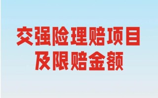 什么是交强险（什么是交强险凭证及车船税照片）