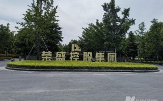 荣盛发展股票，荣盛发展股票的走势
