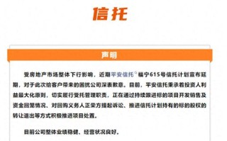 平安保险最近怎么了，平安保险最近怎么了没有保单