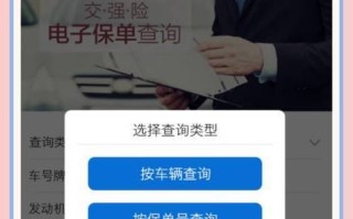 太平洋汽车保险查询，太平洋车险保险单查询