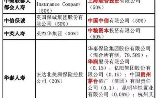 外资保险公司，国内外资保险公司