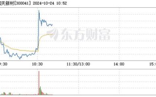 股票300041，股票3000点什么意思