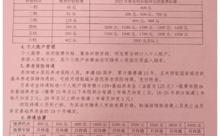新养老保险政策 - 2025年农村养老保险新政策