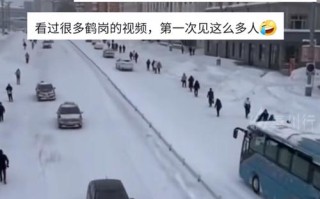 公交站台被雪压垮 - 打公交车用什么软件
