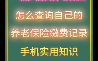 养老保险查询个人账户缴费明细查询（太原养老保险查询个人账户缴费明细查询）