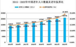 中国养老现状（中国养老现状的感受和认识）