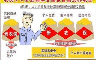 新型农村社会养老保险试点（新型农村社会养老保险政策有哪些）