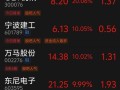 银江股份股票，银江股份股票为啥停盘
