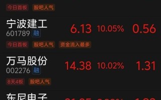 银江股份股票，银江股份股票为啥停盘