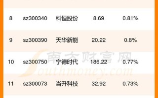 002088鲁阳股份（002088鲁阳股份股吧）