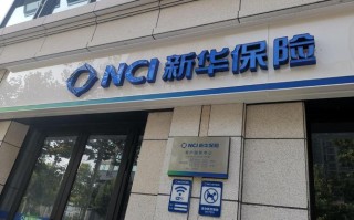 新华保险武汉分公司 - 新华保险武汉分公司田昶