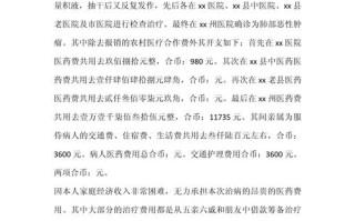 大病补助申请，大病补助申请书