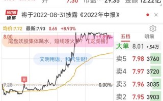 吉电股份000875（吉电股份000875股吧）
