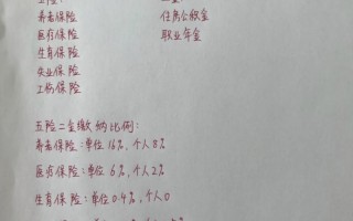 养老保险个人交多少 - 养老保险一年要交多少钱