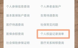 武汉社会保险查询（武汉 社保查询）