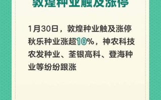 股票600354（股票600354的费用）