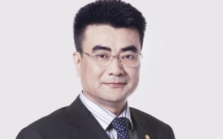 阳光保险董事长张维功，阳光保险董事长张维功简介图片
