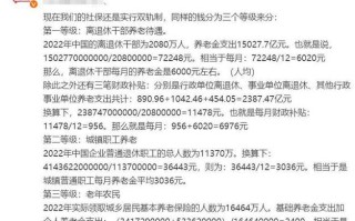 养老双轨制是什么意思 - 养老金双轨制什么意思